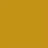 Mustard yellow RAL 1005 color swatch, egoitaliano brand, lacquered matte finish, even lighting, rectangular composition, solid color field.